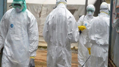 Ölüm oranı son 5 yılın en yüksek seviyesinde. Sivrisineklerden bulaşıyor