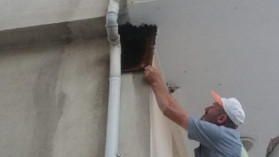 Balkonu arılar sardı