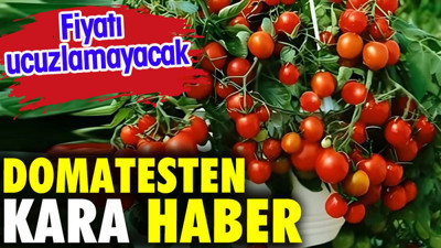 Domatesten kara haber. Fiyatı ucuzlamayacak