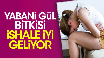 İshale iyi gelen mucize ot ortaya çıktı