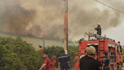 Cezayir'de orman yangınları 15 kişinin ölümüne sebep oldu