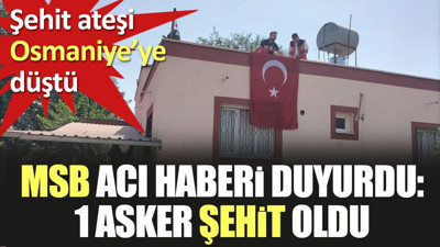 MSB acı haberi duyurdu. Şehit ateşi Osmaniye'ye düştü