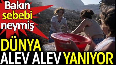 Dünya alev alev yanıyor. Bakın sebebi neymiş