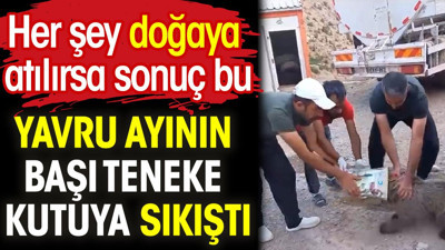 Yavru ayının başı teneke kutuya sıkıştı. Her şey doğaya atılırsa sonuç bu