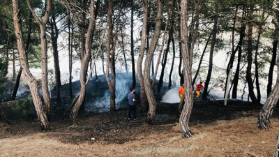 Yangın söndürüldü, vatandaş piknikçilere tepki gösterdi