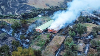 Cezayir'deki tüm orman yangınları söndürüldü
