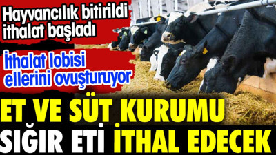 Et ve Süt Kurumu sığır eti ithal edecek. Hayvancılık bitirildi ithalat başladı