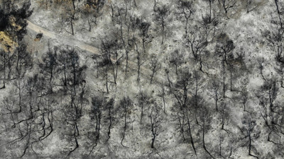 Manisa'da 14 evi kül eden orman yangınına ilişkin 1 kişi tutuklandı