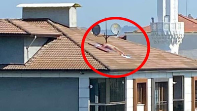 Apartmanın çatısında anadan doğma güneşlenen kişinin kim olduğu ortaya çıktı