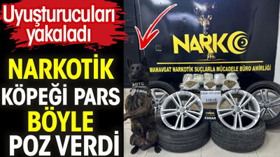 Uyuşturucuları bulan narkotik köpeği 'Pars' böyle poz verdi