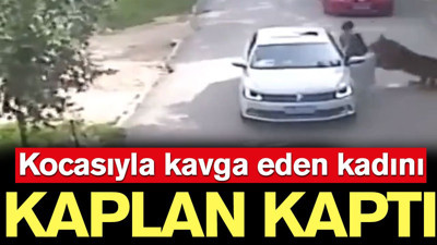 Kocasıyla kavga eden kadını kaplan kaptı