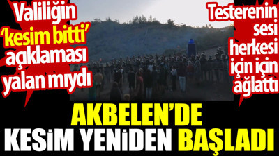 Akbelen'de kesim yeniden başladı. Valiliğin ‘kesim bitti’ açıklaması yalan mıydı?