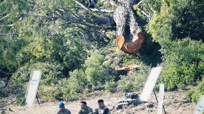 Gölgesine sığınılacak ağaç kalmayınca Jandarma kalkanından gölge yaptı