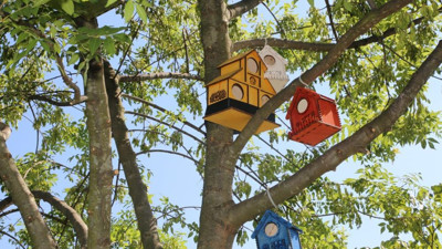 Serdivan’ın parklarını kedi ve kuş evleri süsledi