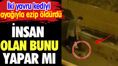İnsan olan bunu yapar mı? İki yavru kediyi ayağıyla ezip öldürdü