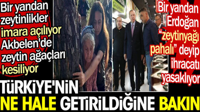 Bir yandan zeytin ağaçları kesiliyor diğer yandan Erdoğan 'zeytinyağı pahalı' deyip ihracatı yasaklıyor