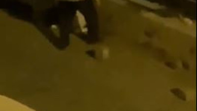 Yavru kedileri gözünü bile kırpmadan katletti