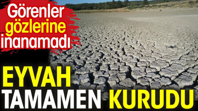 Eyvah tamamen kurudu. Görenler gözlerine inanamadı