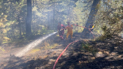 Bolu’daki orman yangını söndürüldü