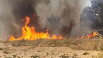 Isparta'da 10 dönümlük sazlık küle döndü