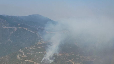 İzmir'de otomobilde çıkan yangın ormana sıçradı