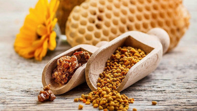 Propolis nedir? Propolis faydaları nelerdir?
