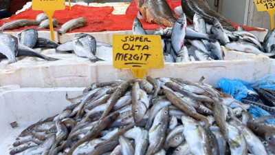 Olta mezgitleri tezgahlardaki yerini aldı