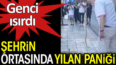 Şehrin ortasında yılan paniği. Genci ısırdı