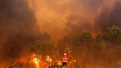 Portekiz orman yangınlarıyla boğuşuyor