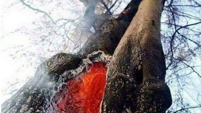 Bunu yapanın Allah'ı yoktur. Sizin hiç içiniz yandı mı?