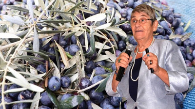 Canan Karatay uyardı. Zeytini sakın böyle tüketmeyin. Kısır yapıyor