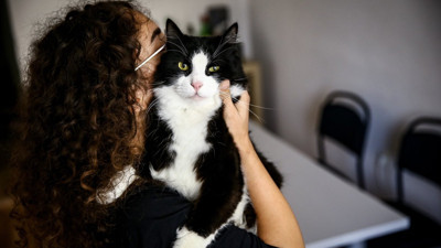 Yargıtay'dan emsal karar: Evde evcil hayvan beslemek yasak mı?