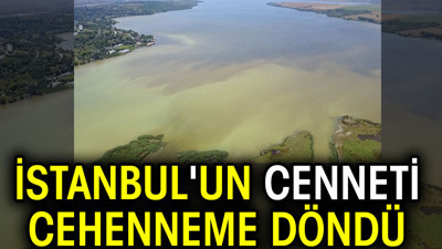 İstanbul'un cenneti cehenneme döndü