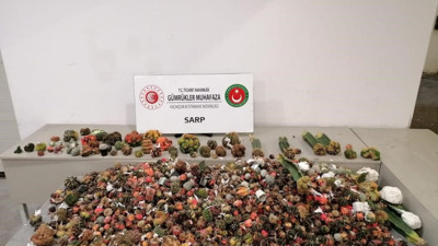 Gümrük kapısında ele geçirildi. Tam 2 bin 850 adet