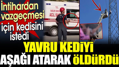 İntihardan vazgeçmek için kedisini istedi. Yavru kediyi aşağı atarak öldürdü