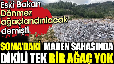 Eski bakanın ağaçlandırılacak dediği maden sahasında tek bir ağaç bile yok