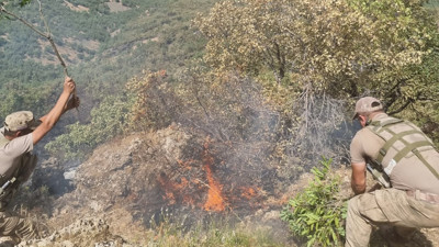 Orman yangını 52 saatte söndürüldü