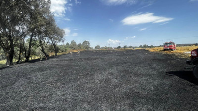 Bolu’da 24 dönümlük buğday tarlası küle döndü