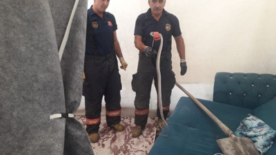 Çadıra giren 2 metre uzunluğundaki yılan panik yarattı