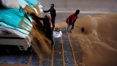 Mısır'ın buğday ithalatına BAE'den 500 milyon dolar fon desteği