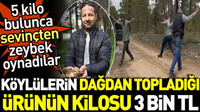 Köylülerin dağdan topladığı ürünün kilosu 3 bin TL. 5 kilo bulunca sevinçten zeybek oynadılar