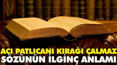 Acı patlıcanı kırağı çalmaz sözünün ilginç anlamı