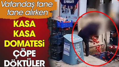 Kasa kasa domatesi çöpe döktüler. Vatandaş ise tane tane satın alabiliyor