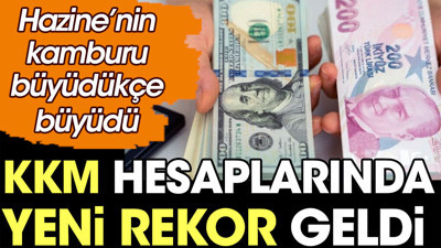 KKM hesaplarında yeni rekor geldi