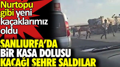 Bir kamyon kasası dolusu kaçağı şehre saldılar. Herkes de seyretti