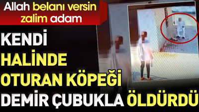 Kendi halinde oturan köpeği demir çubukla öldürdü. Allah belanı versin zalim adam
