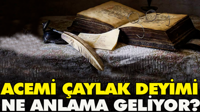 Acemi çaylak deyimi ne anlama geliyor?