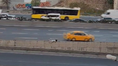 Çocukların otoyoldaki tehlikeli oyunu kamerada