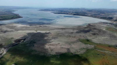 İstanbul kurudu. Suyun yerini otlayan koyunlar ve plastik poşetler aldı