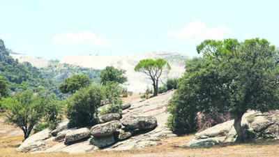 8 bin yıllık tarihi ve doğayı maden için katledecekler. Akbelen’den sonra hedefe Latmos Dağları’nı aldılar